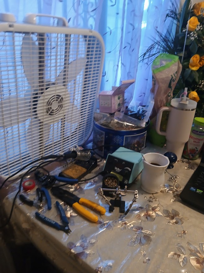 EDD-Borrow Home Soldering Set Up